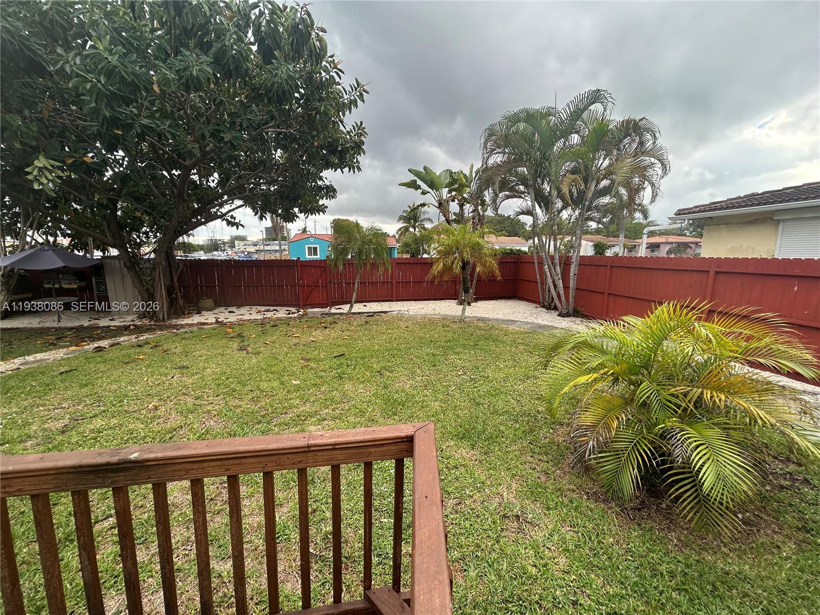 a view of a backyard with plants