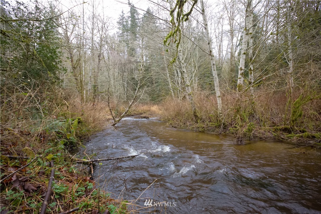 3829 Locker Road Southeast Port Orchard, WA 98366 - Photo 28 of 39 Gallery Image 28