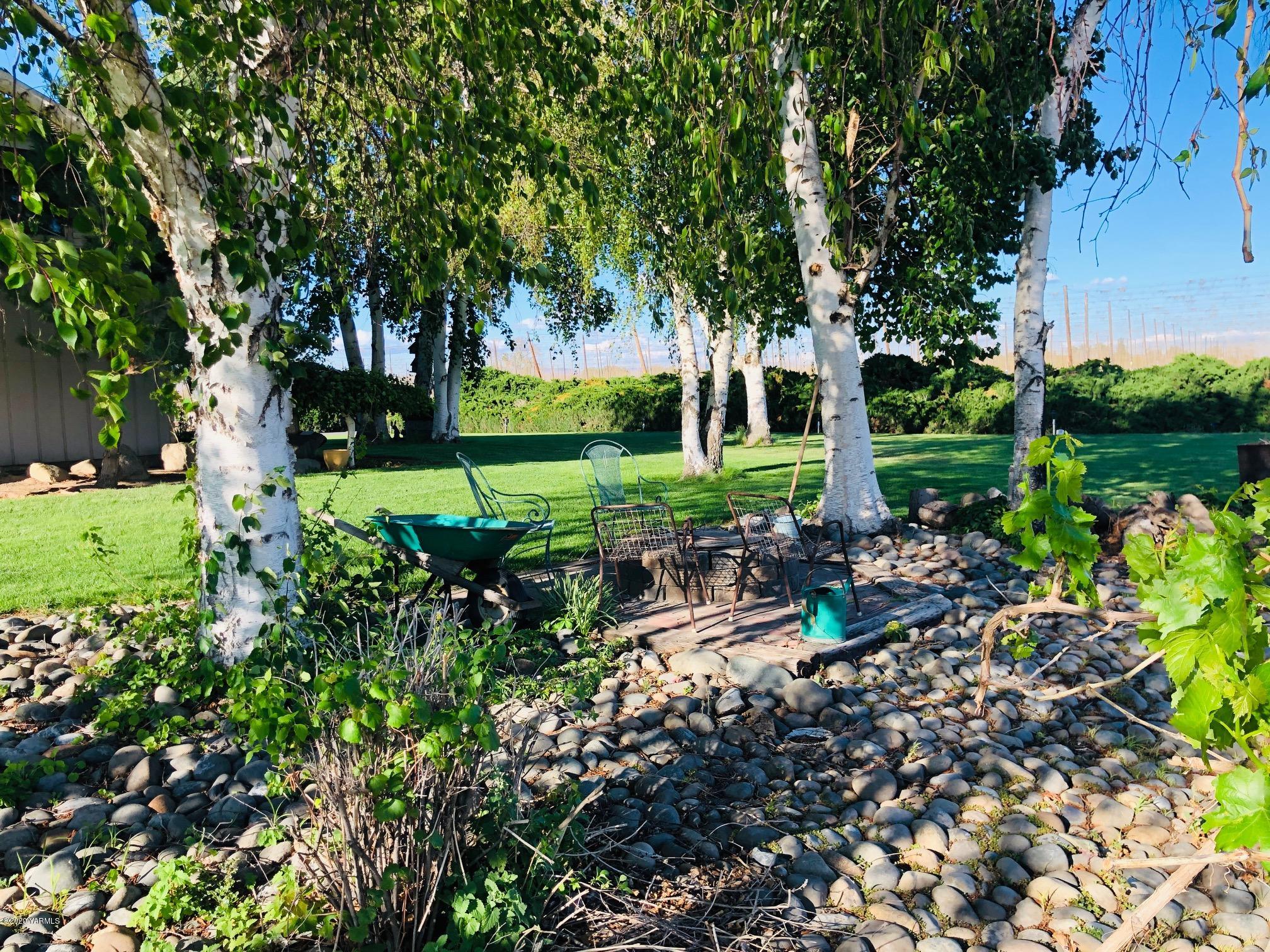 170 St Mary Road Harrah, WA 98933 - Photo 6 of 26 a view of a garden with plants and trees