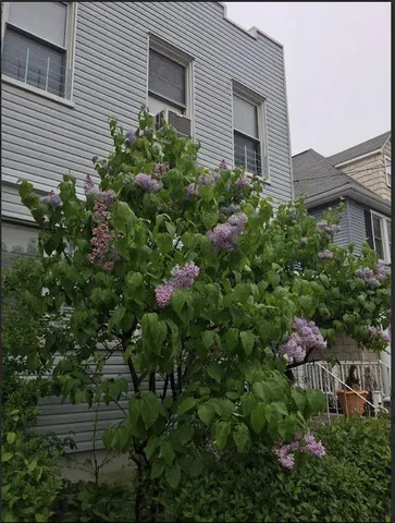 a view of a house with a flower garden
