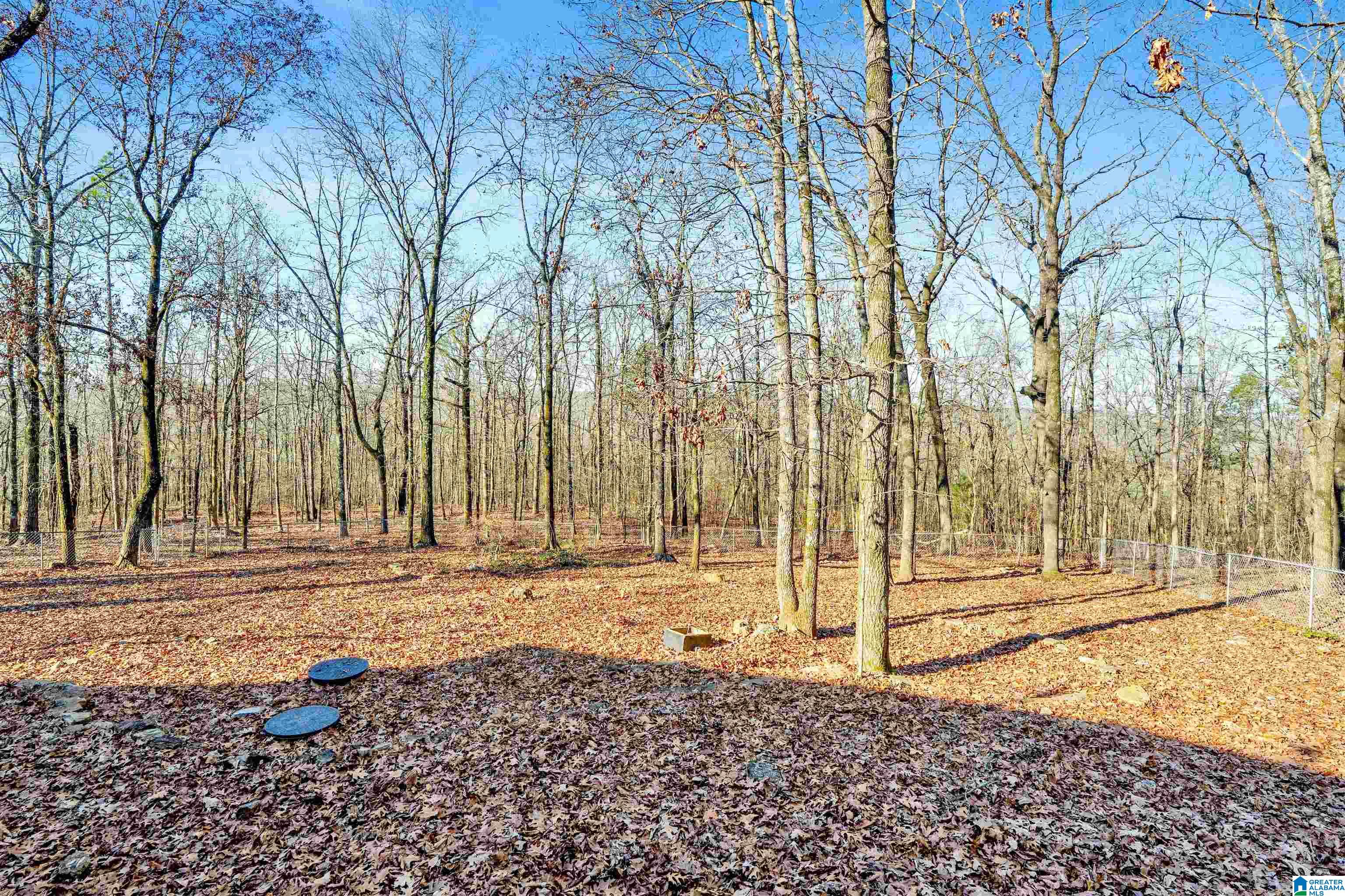 150 Chestnut Drive Alabaster, AL 35007 - Photo 52 of 61
