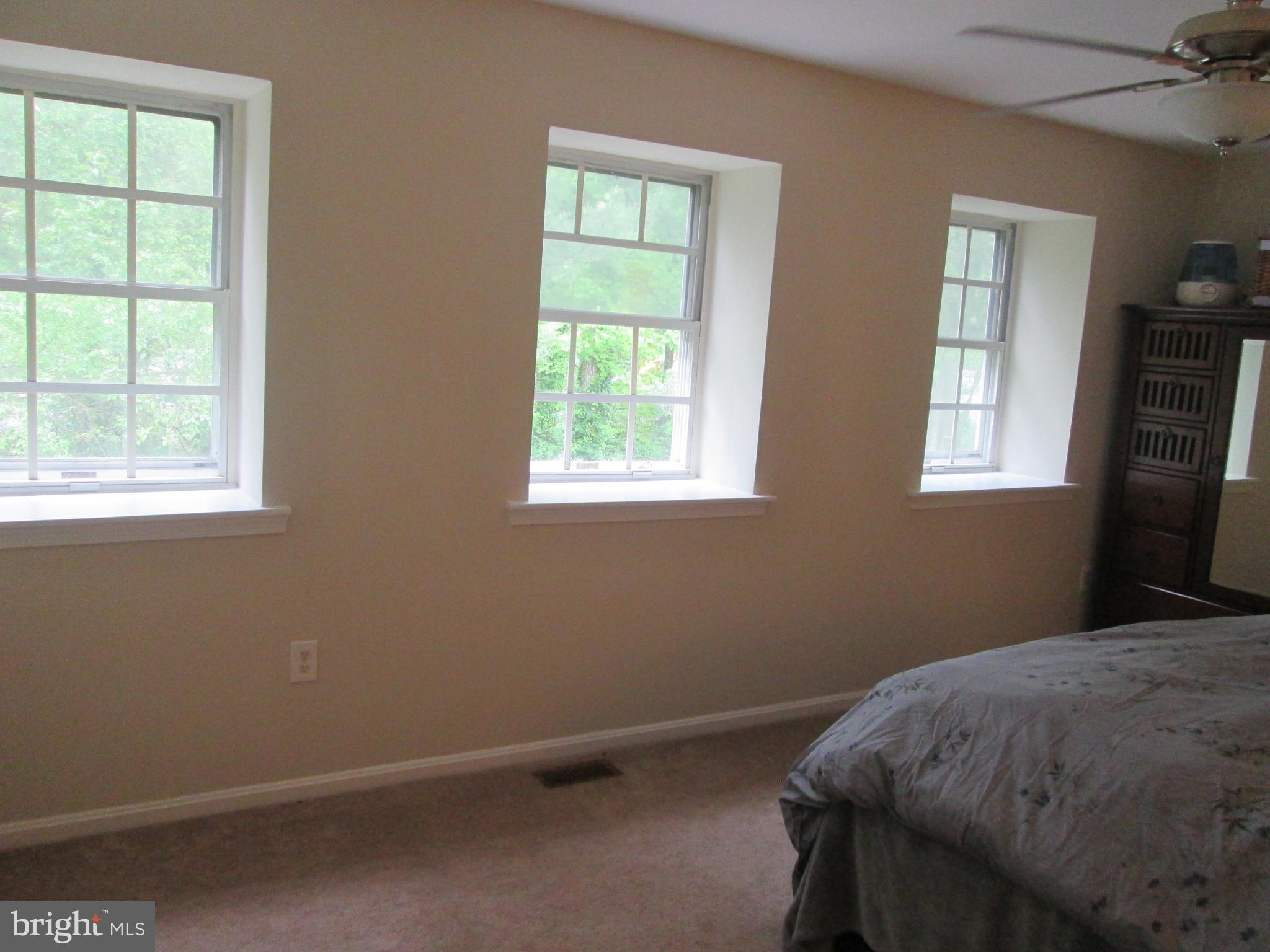 14622 Tynewick Terrace, Unit 2 Silver Spring, MD 20906 - Photo 14 of 52 Three windows in spacious master bedroom