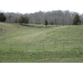 0 Raders Sidetrack Road, Unit 4 & 5 Greeneville, TN 37743 - Photo 1 of 1 Photo 1