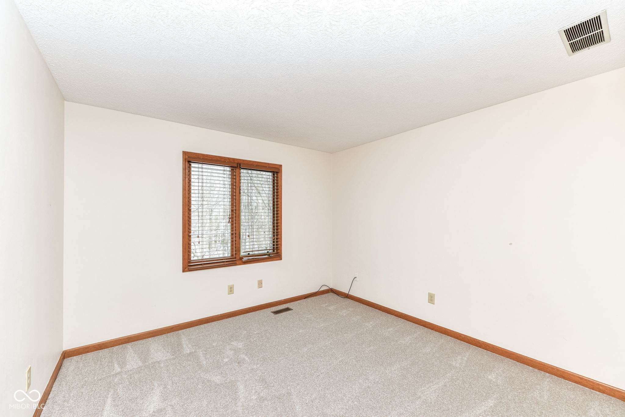 12112 Pearl Bay Ridge Indianapolis, IN 46236 - Photo 44 of 60