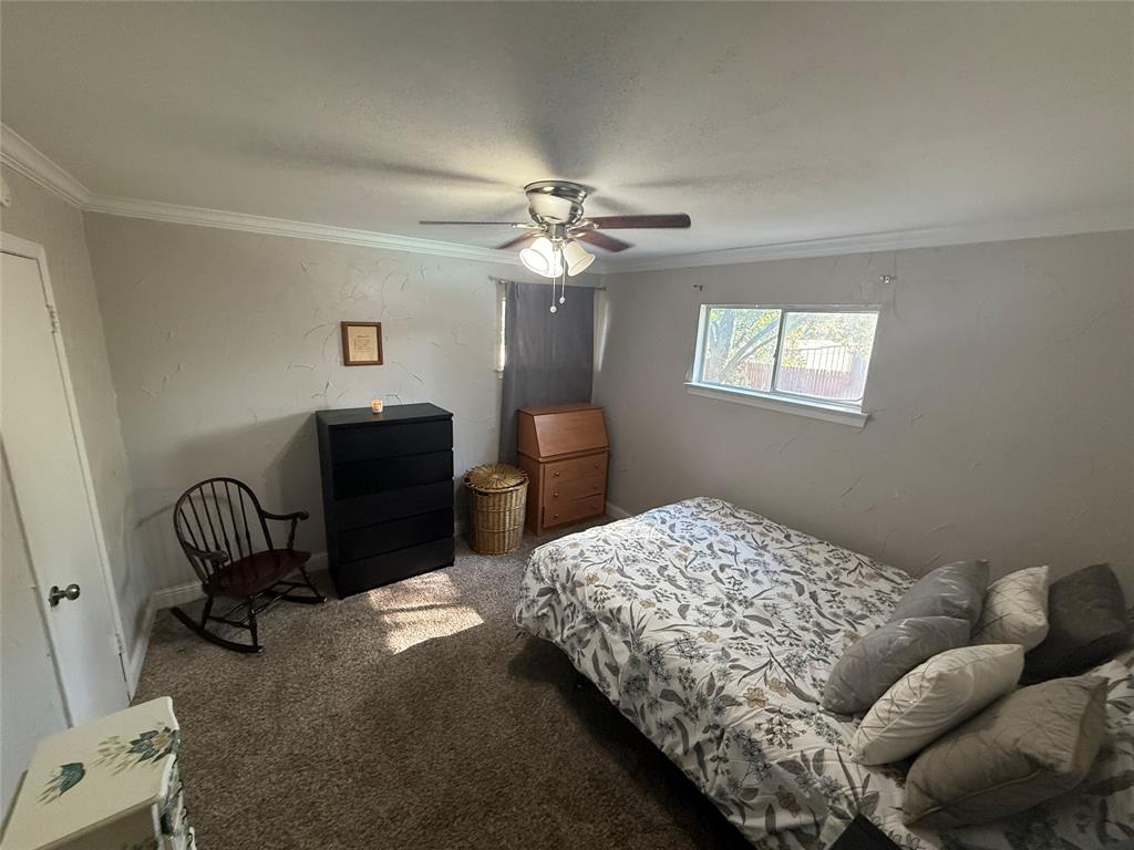 2888 Reedcroft Drive Farmers Branch, TX 75234 - Photo 16 of 32 Bedroom featuring crown molding, carpet flooring, a textured wall, ceiling fan, and a textured ceiling