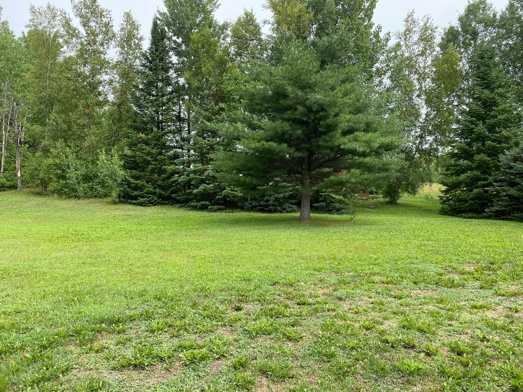 1644 Town Line Road Merrill, ME 04780 - Photo 13 of 87 1644 Town Line Road Merrill (Back Yard2)