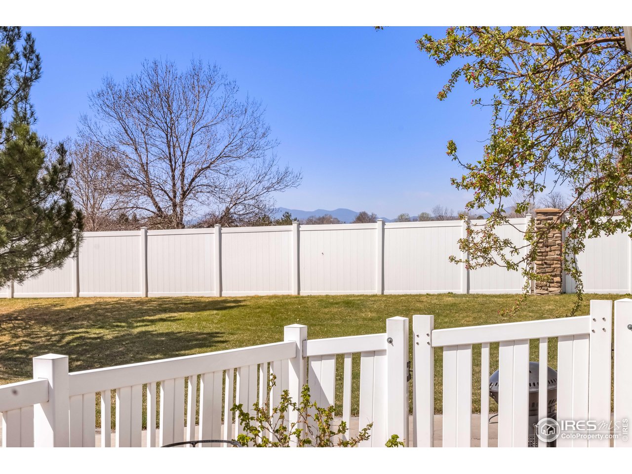 11737 Zenobia Loop Westminster, CO 80031 - Photo 25 of 39 a view of a yard with wooden fence