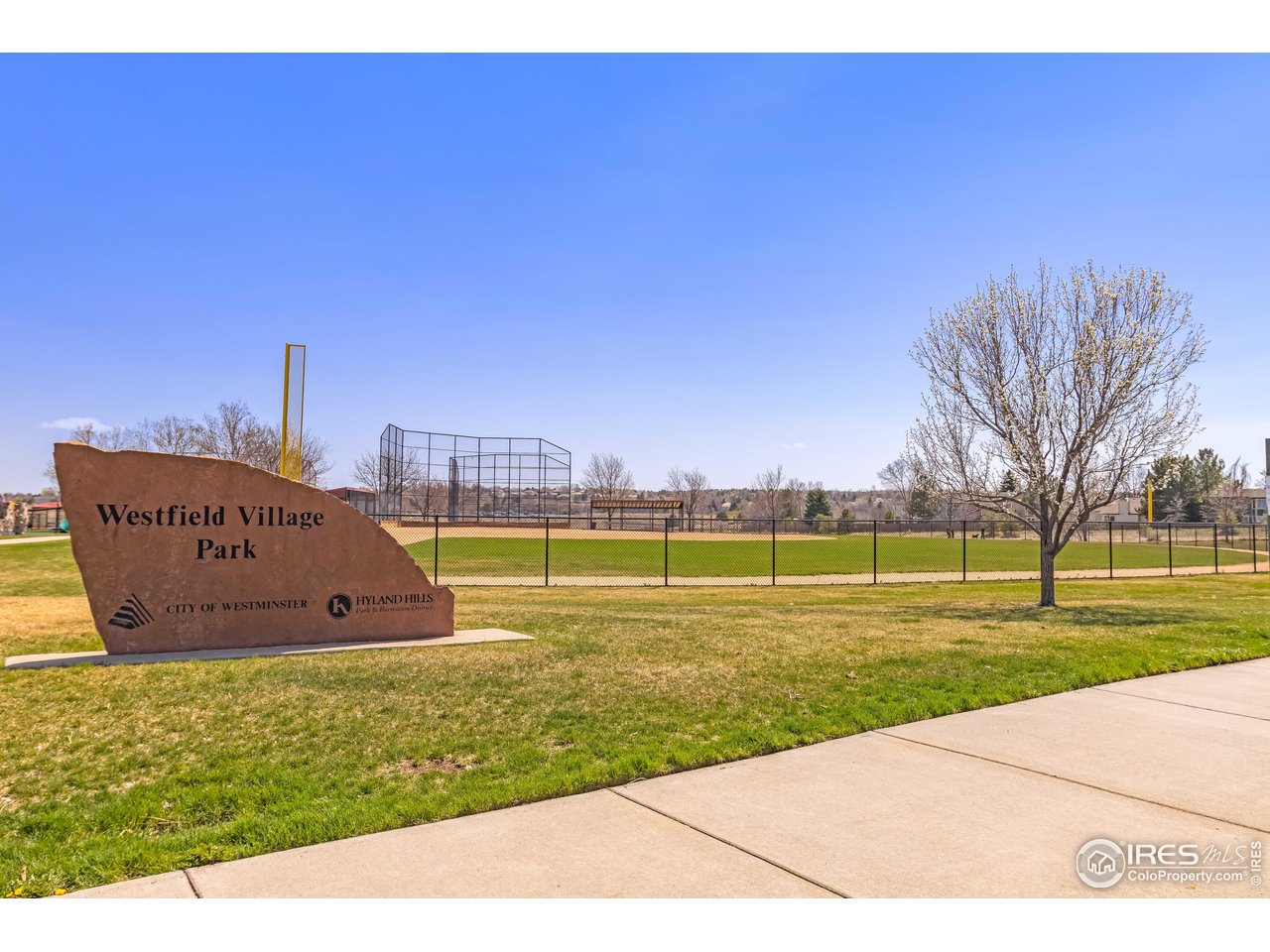 11737 Zenobia Loop Westminster, CO 80031 - Photo 31 of 39 a view of a park with large trees