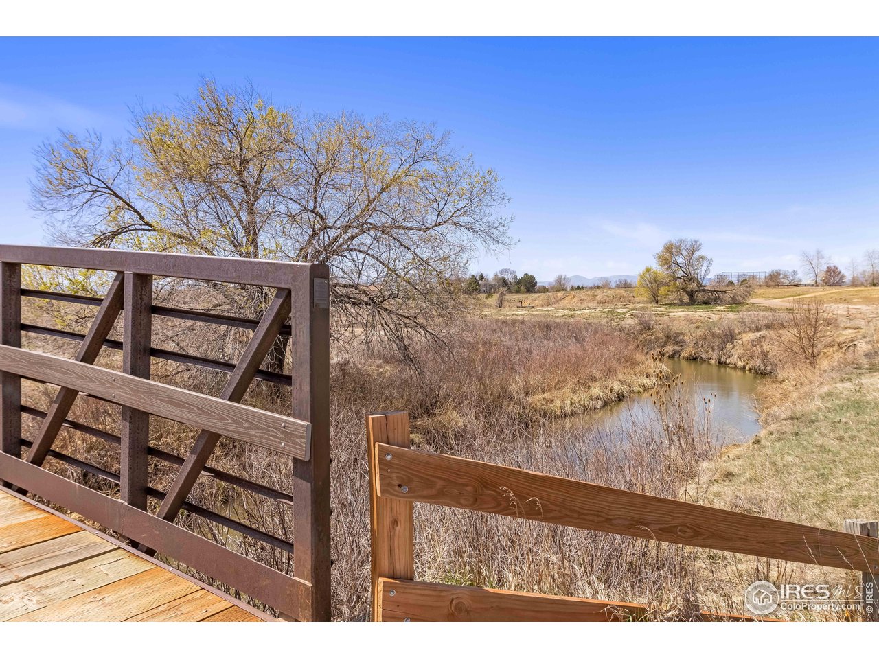 11737 Zenobia Loop Westminster, CO 80031 - Photo 33 of 39