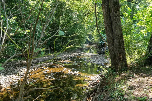 a backyard of a house