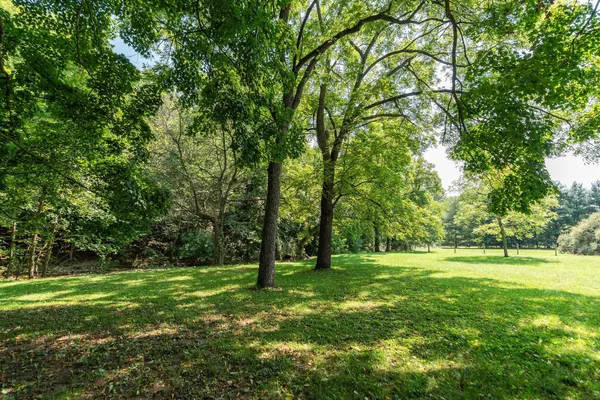 a view of outdoor space with trees all around