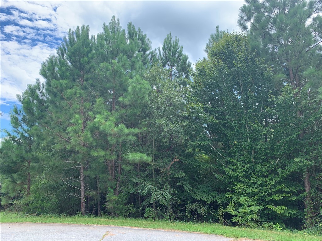 0 Pineridge Road Seneca, SC 29672 - Photo 1 of 6 Gallery Image 1