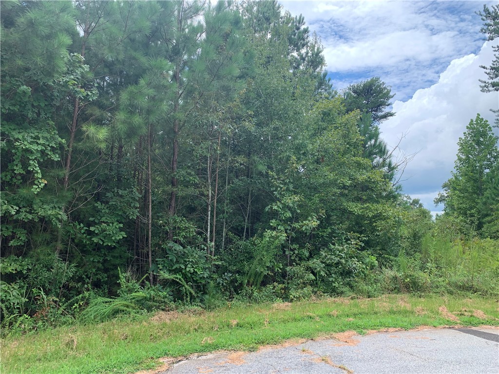 0 Pineridge Road Seneca, SC 29672 - Photo 2 of 6 Gallery Image 2