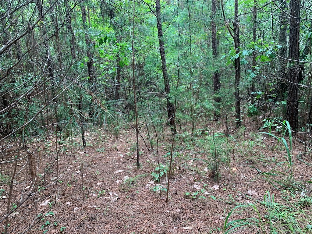 0 Pineridge Road Seneca, SC 29672 - Photo 4 of 6 Gallery Image 4