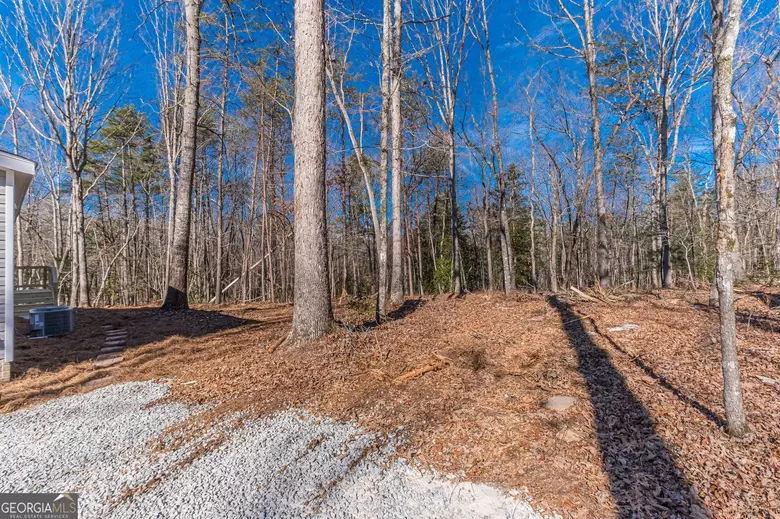 643 Old Ridge Road Demorest, GA 30535 - Photo 18 of 56 a backyard of a house with lots of green space