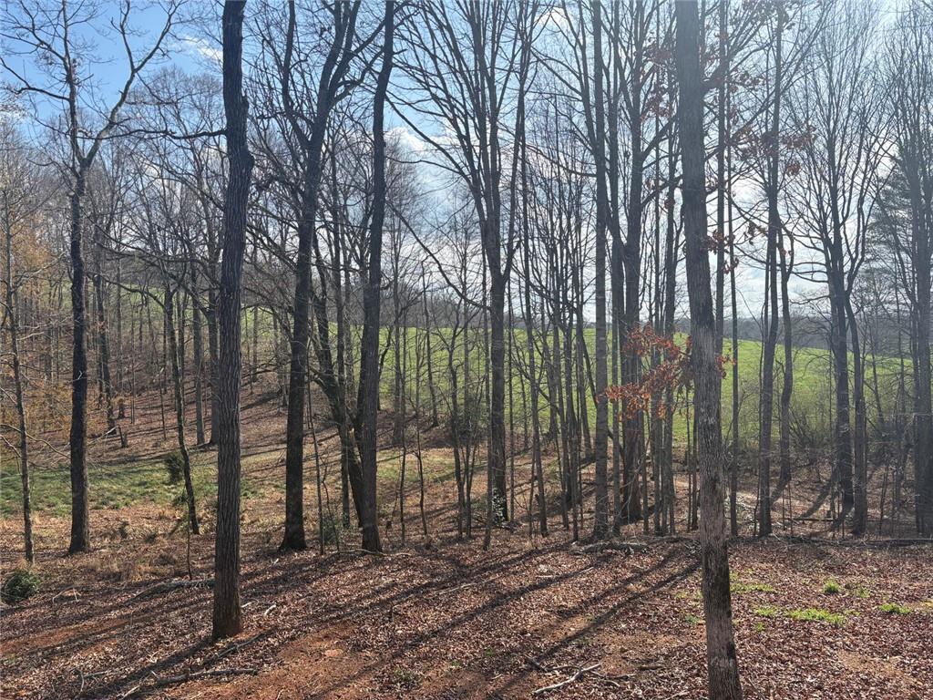 643 Old Ridge Road Demorest, GA 30535 - Photo 19 of 56