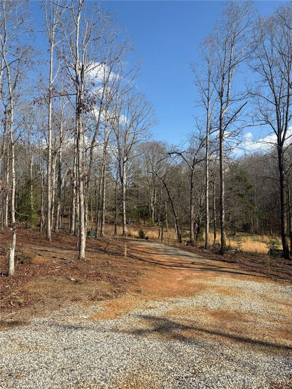 643 Old Ridge Road Demorest, GA 30535 - Photo 3 of 56 a backyard of apartments with large trees