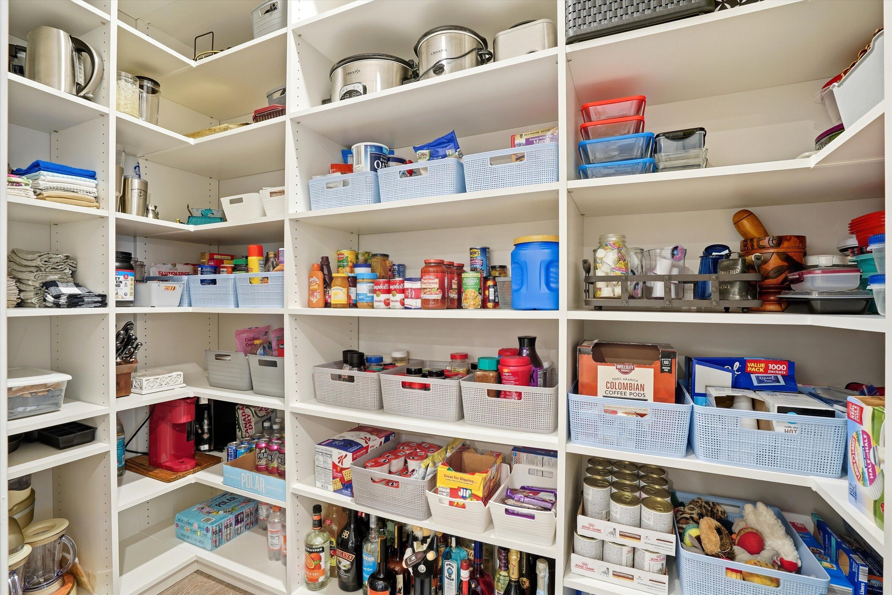 1106 Coastal Creek Ridgeville, SC 29472 - Photo 10 of 35 Custom Pantry