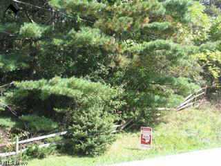 Mulberry Road Chesterland, OH 44026 - Photo 1 of 1 Gallery Image 1