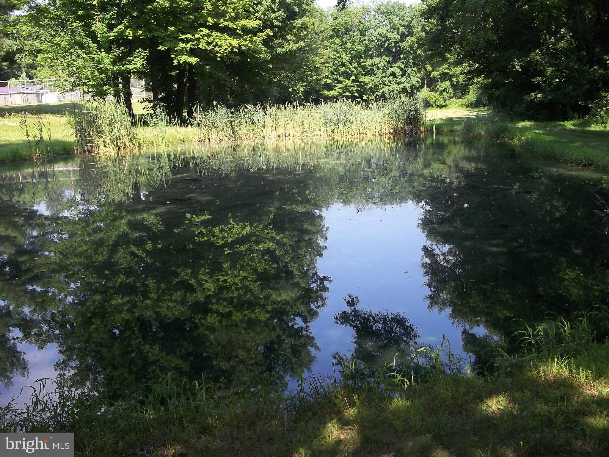 240 Chapel Road Newmanstown, PA 17073 - Photo 65 of 70 Gallery Image 65