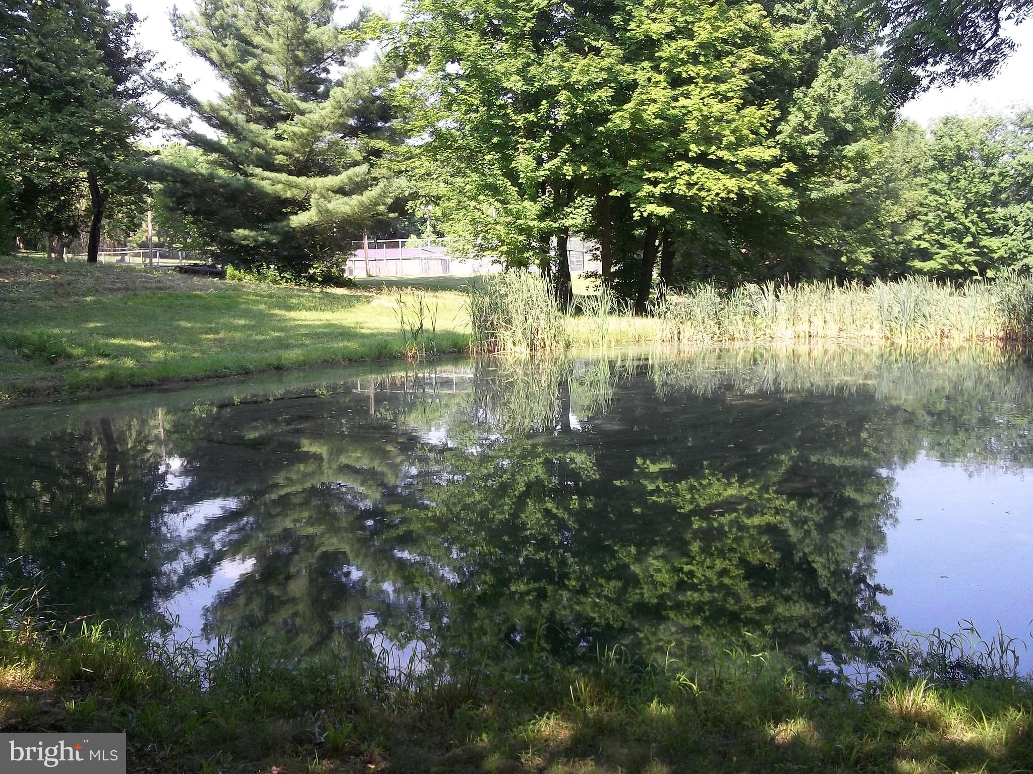 240 Chapel Road Newmanstown, PA 17073 - Photo 66 of 70 Gallery Image 66