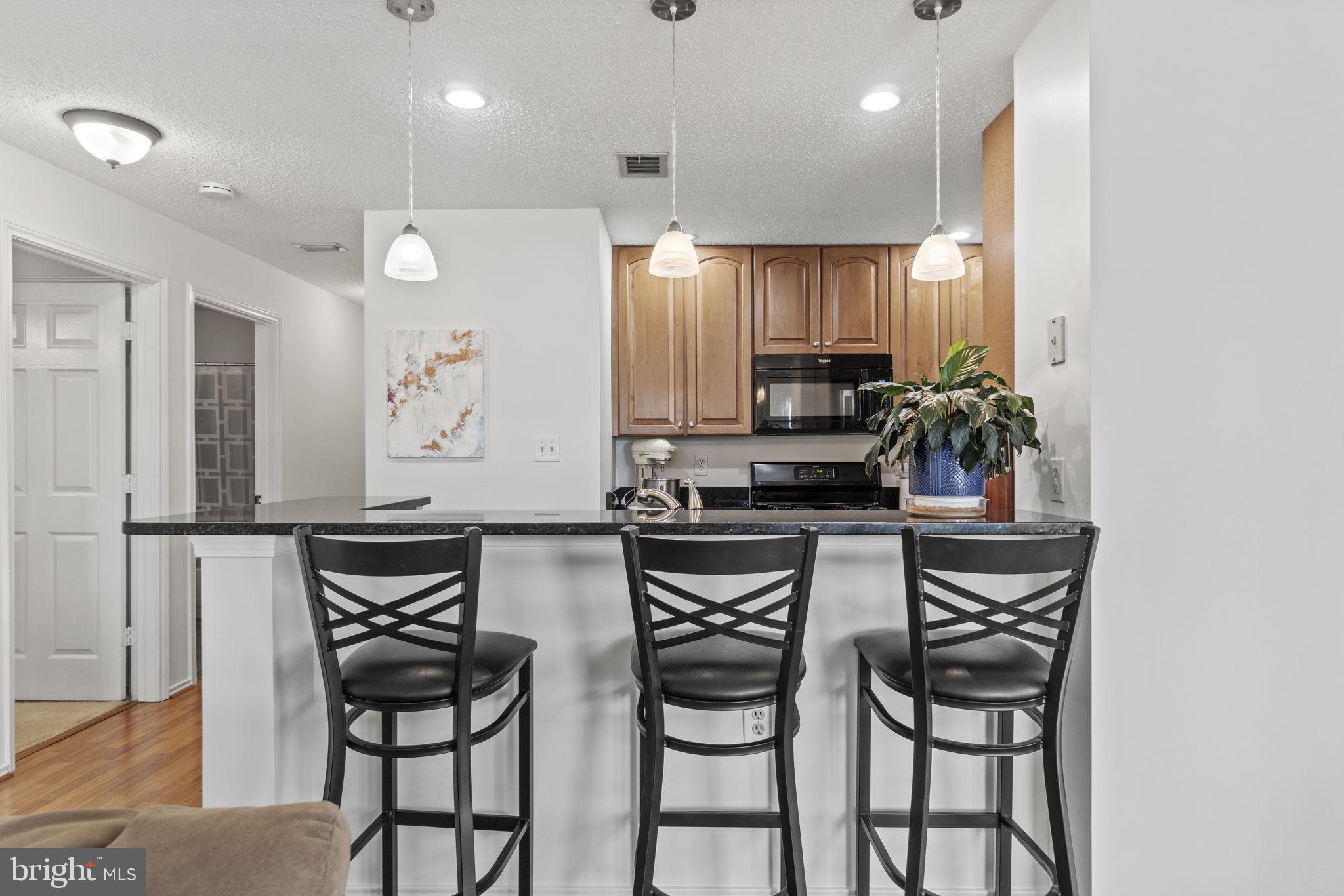 21019 Timber Ridge Terrace, Unit 301 Ashburn, VA 20147 - Photo 3 of 20 Kitchen