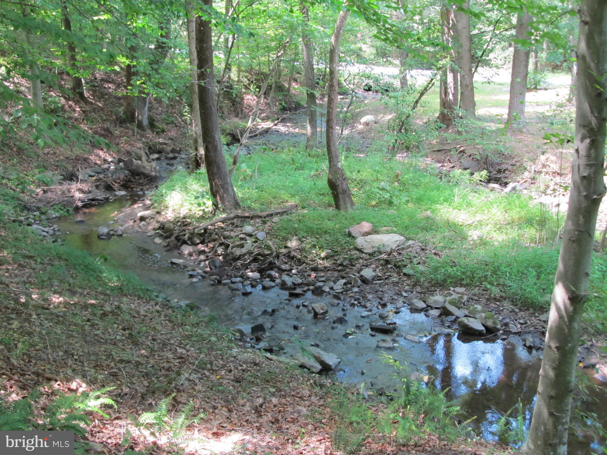 1399 Frogtown Road Bluemont, VA 20135 - Photo 3 of 33 Gallery Image 3