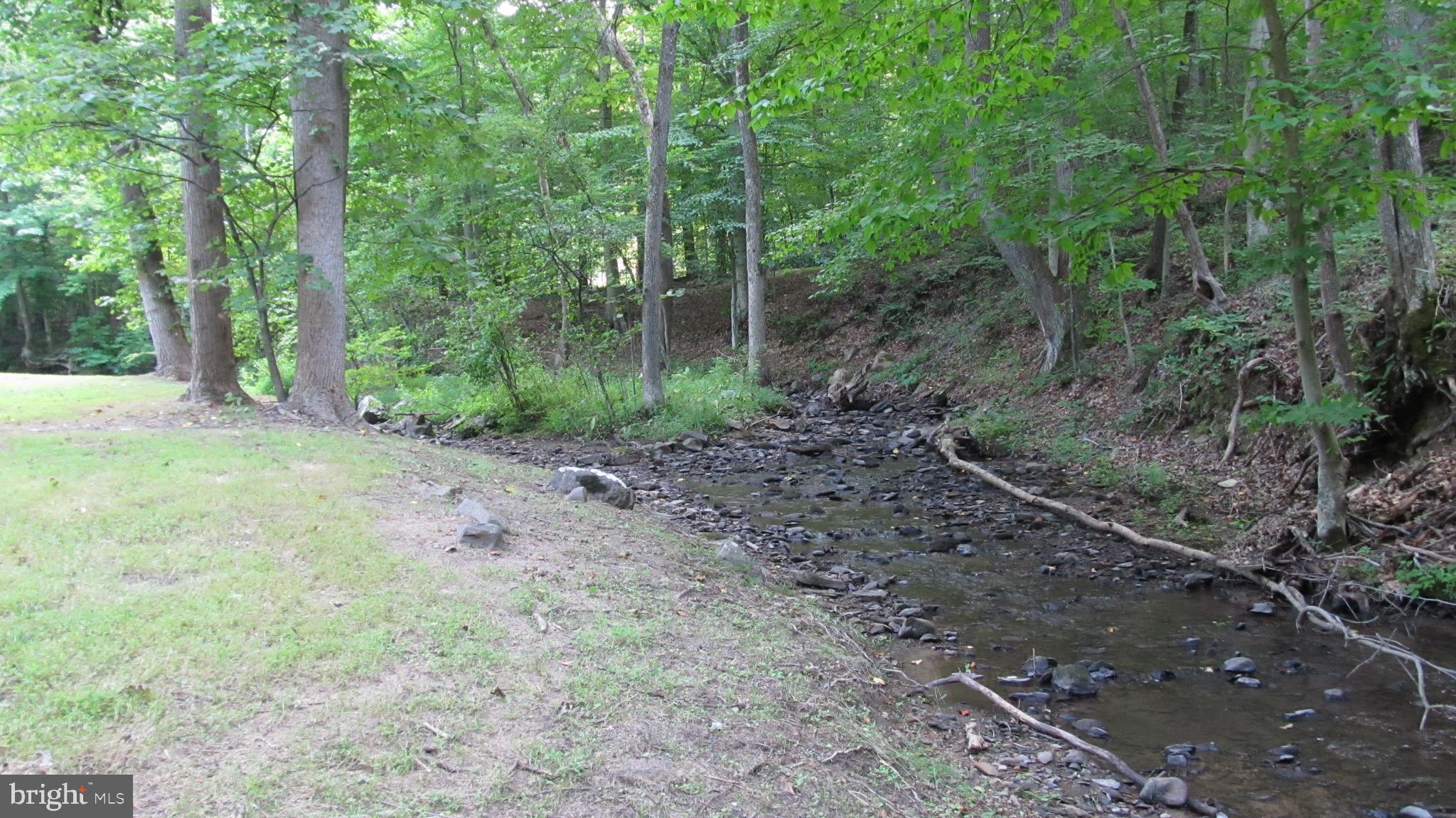 1399 Frogtown Road Bluemont, VA 20135 - Photo 8 of 33 Morgans Mill Creek