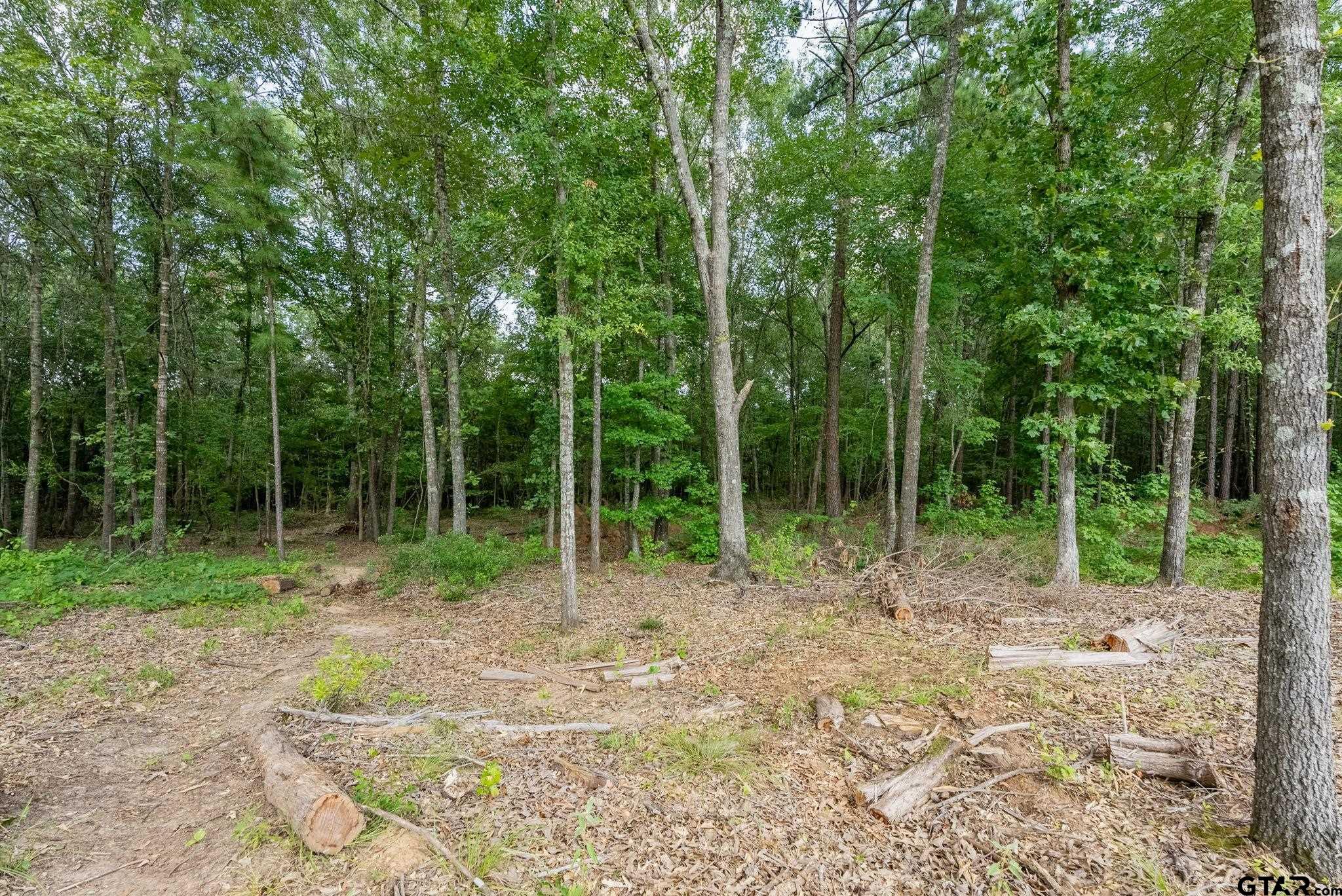 9299 Caddo Rdg Cove Tyler, TX 75703 - Photo 9 of 23