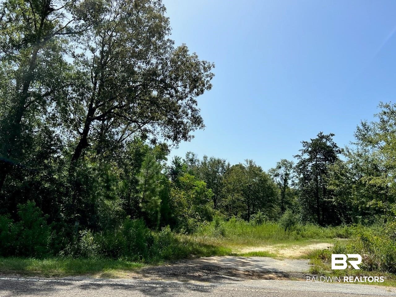 0 Lafitte Road Saraland, AL 36571 - Photo 1 of 3 View of street featuring a forest view