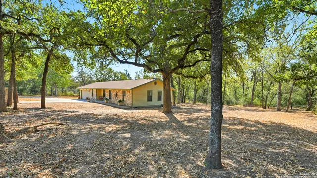 a tree in the middle of a yard
