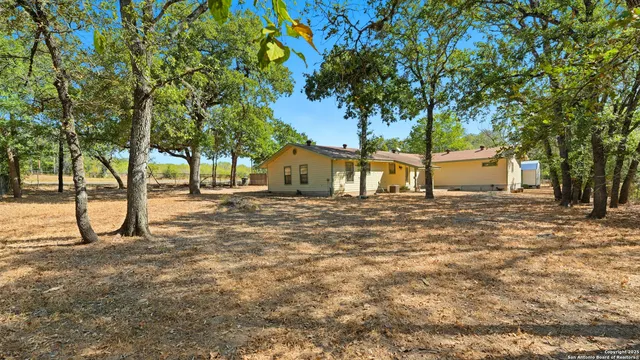a view of backyard with tree