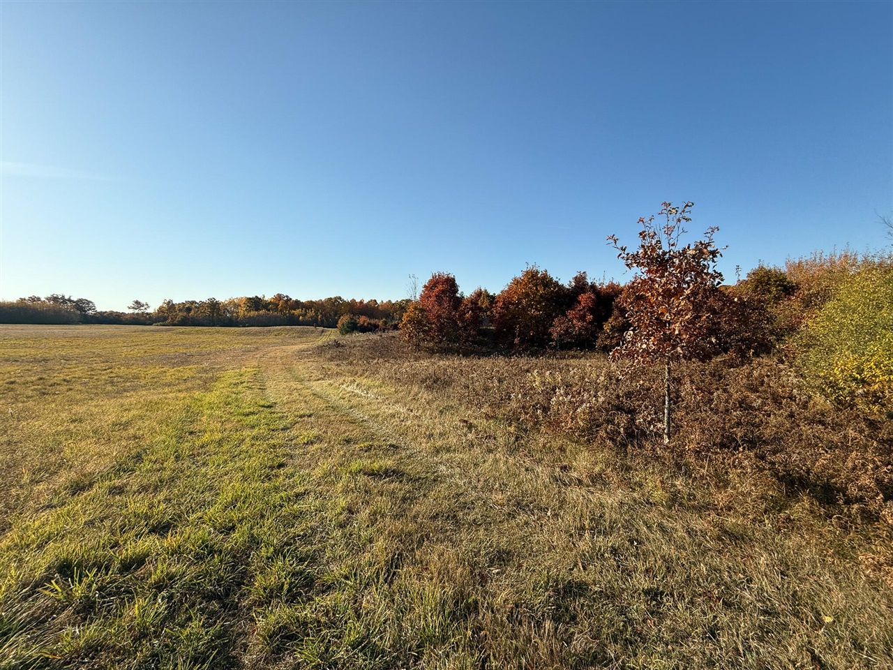 19 19 Mile Road Lakeview, MI 48850 - Photo 14 of 29