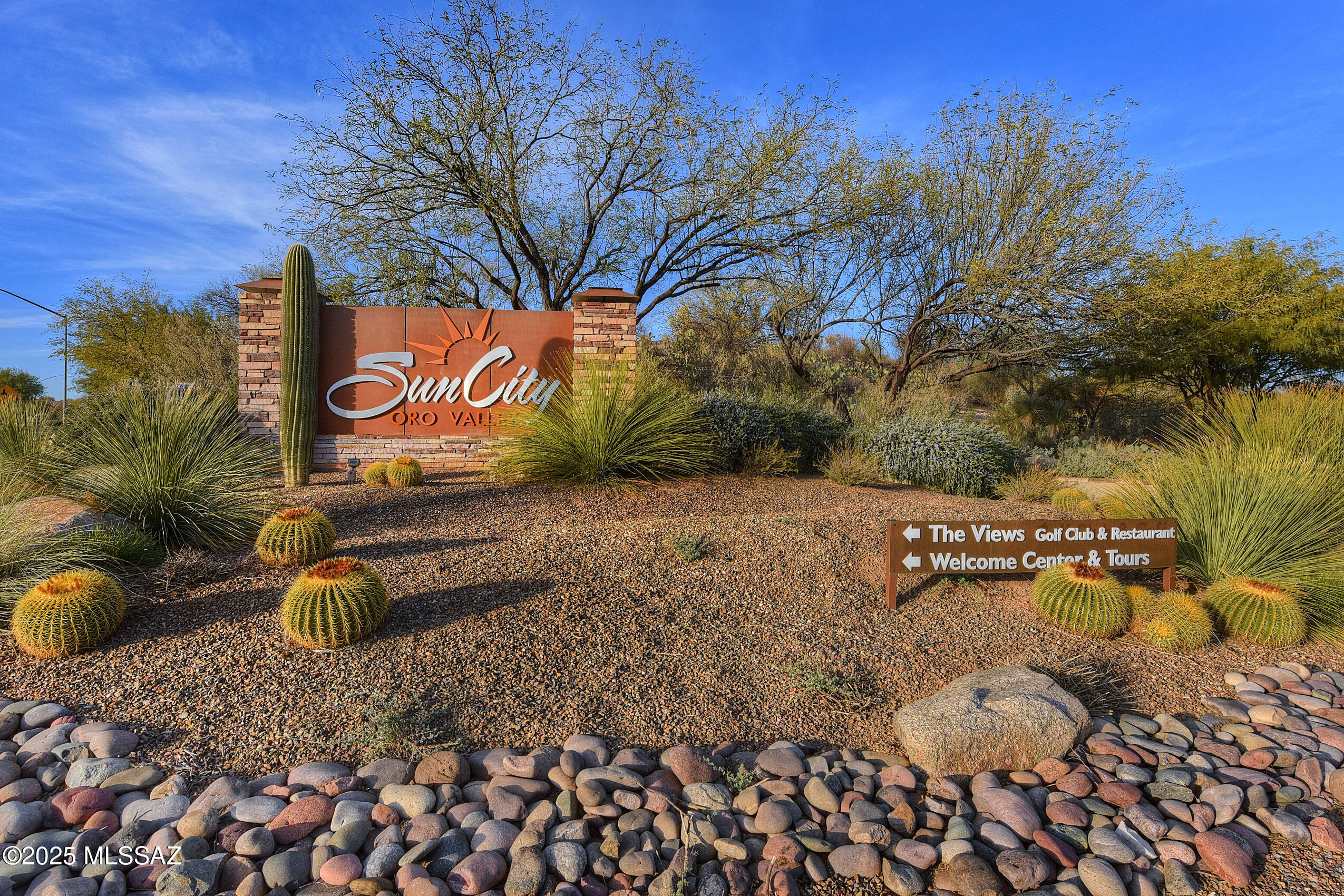 1524 East Crown Ridge Way Oro Valley, AZ 85755 - Photo 40 of 44