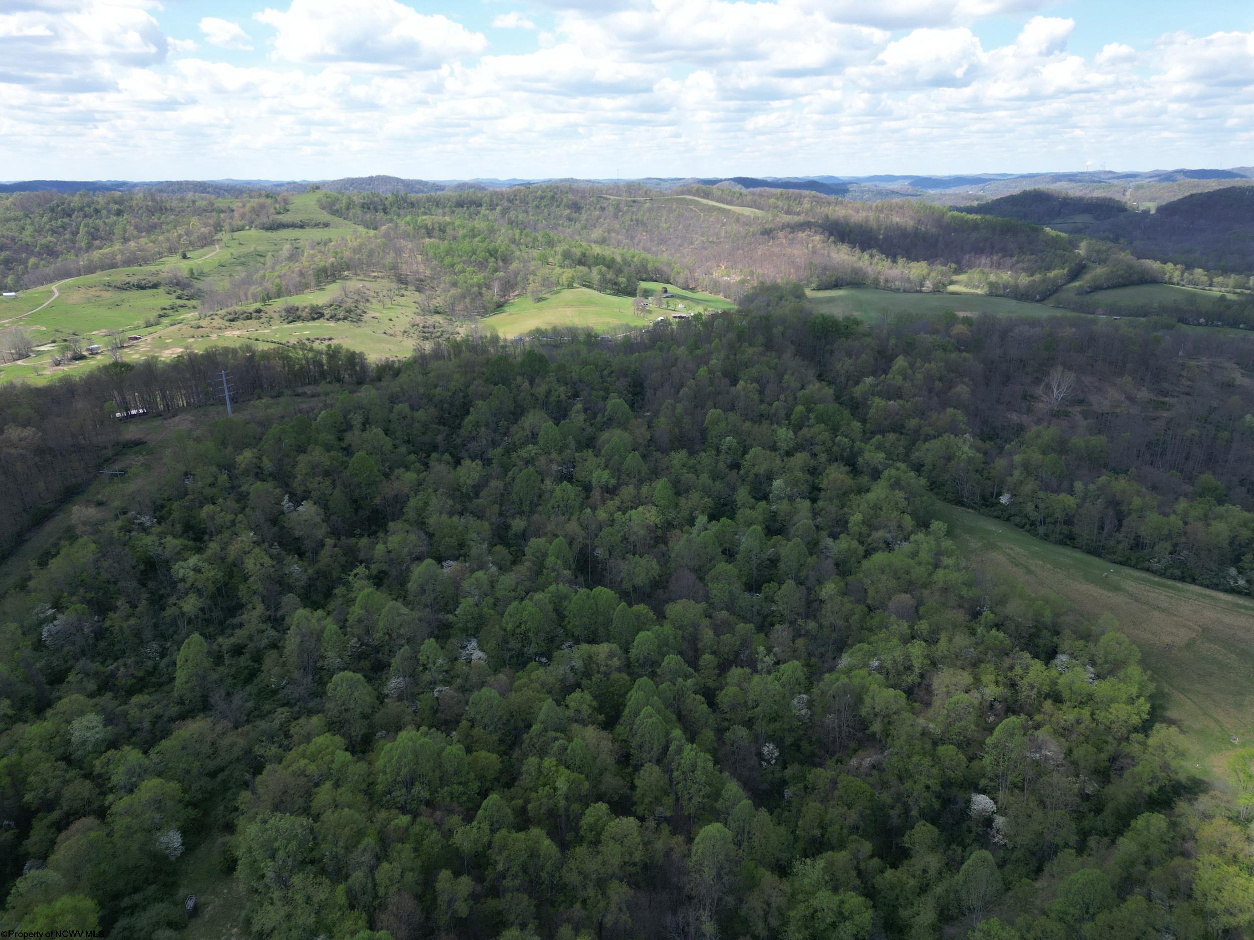 2397 Stevens Run Road Mount Clare, WV 26408 - Photo 39 of 50 Gallery Image 39
