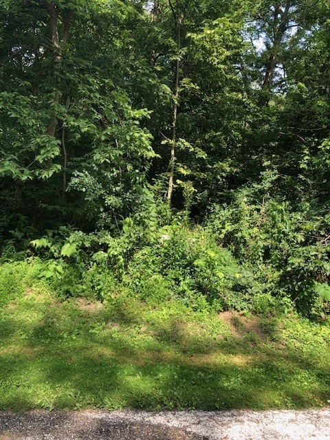 35403 North 2nd Avenue Ingleside, IL 60041 - Photo 4 of 9 a view of a lush green forest