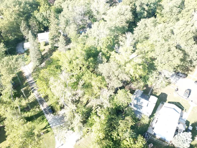 a close up of a plant