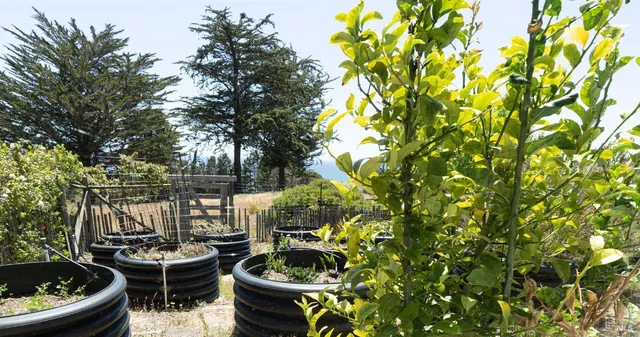 a kitchen with stainless steel appliances granite countertop a stove refrigerator and a sink