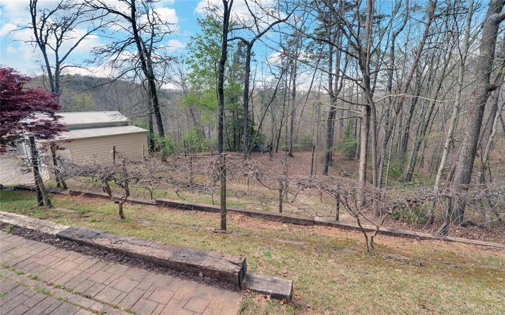 3256 Long Branch Road Dahlonega, GA 30533 - Photo 56 of 75