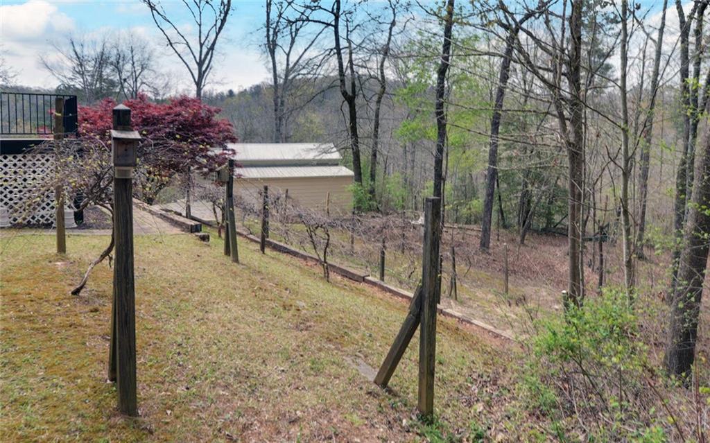 3256 Long Branch Road Dahlonega, GA 30533 - Photo 57 of 75