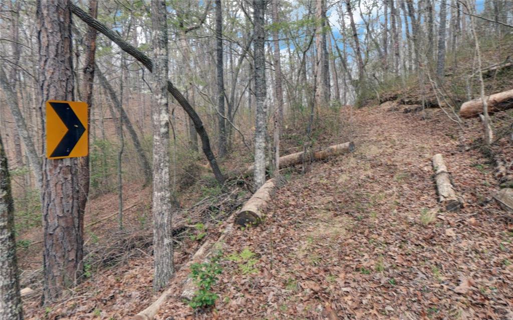 3256 Long Branch Road Dahlonega, GA 30533 - Photo 58 of 75