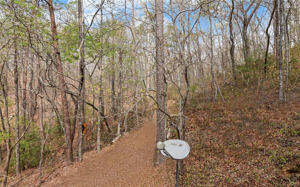 3256 Long Branch Road Dahlonega, GA 30533 - Photo 59 of 75