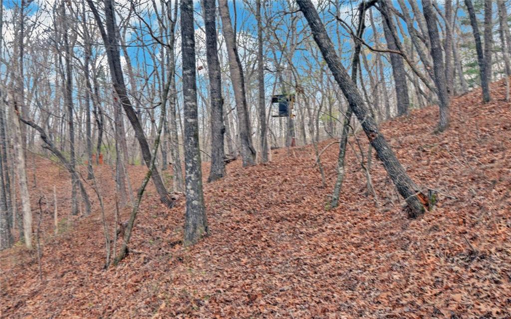 3256 Long Branch Road Dahlonega, GA 30533 - Photo 60 of 75