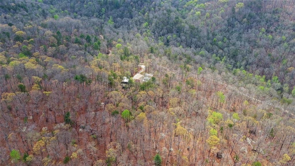 3256 Long Branch Road Dahlonega, GA 30533 - Photo 64 of 75