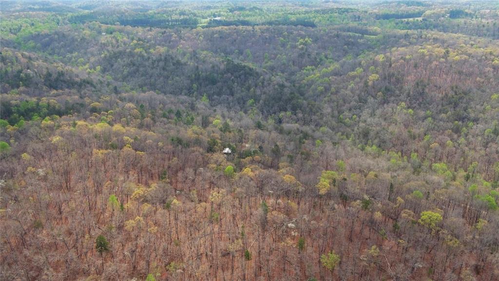 3256 Long Branch Road Dahlonega, GA 30533 - Photo 73 of 75