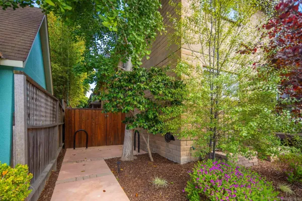 a backyard with potted plants and a large tree