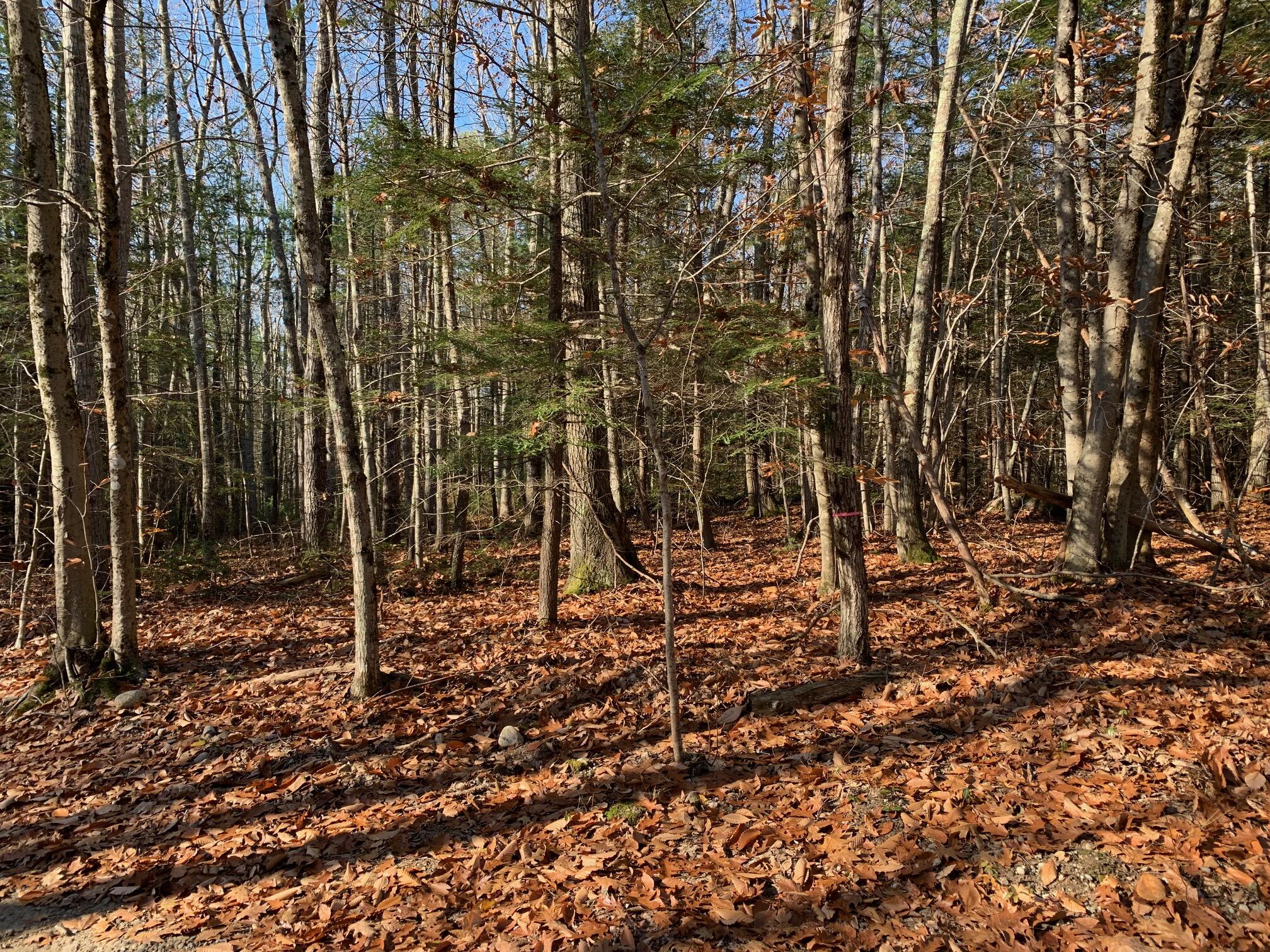 Lot 18 Old Cluff Road Kennebunkport, ME 04046 - Photo 6 of 7 IMG_1782