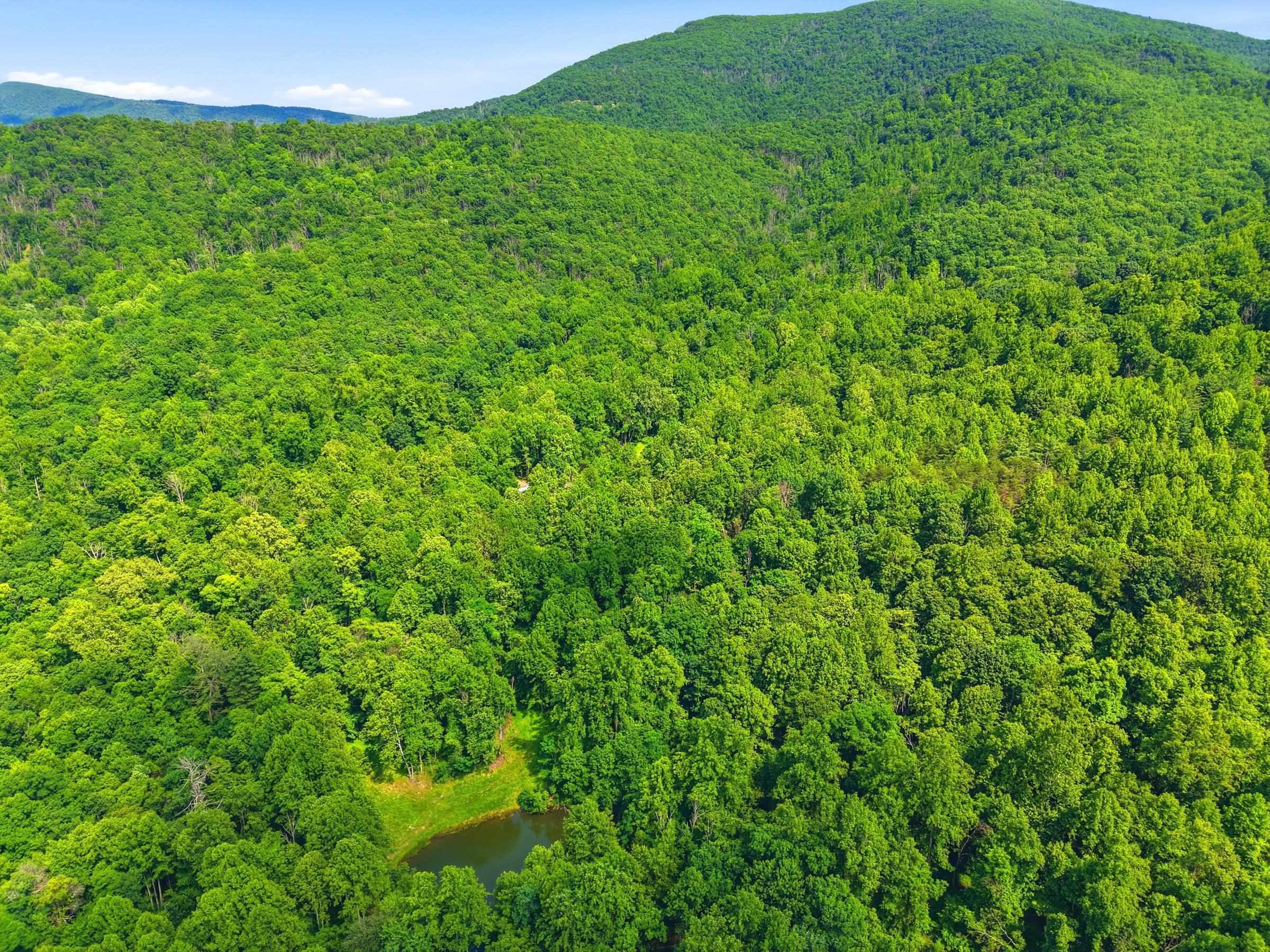 Jordan Hollow Road Stanley, VA 22851 - Photo 25 of 26