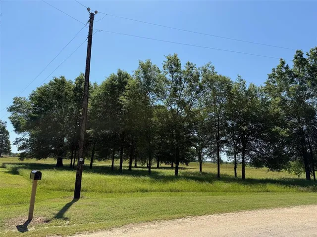 a view of a park with tree s