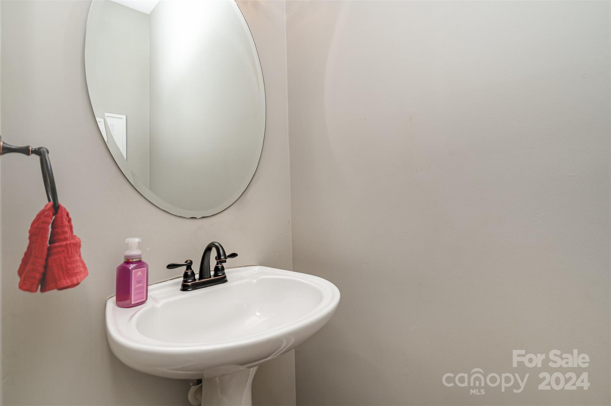 3410 Rhett Butler Place Charlotte, NC 28270 - Photo 17 of 31 a bathroom with a sink and a mirror
